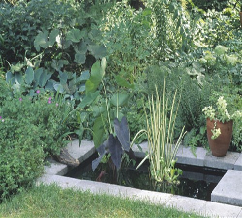 Бассейн в саду: технология строительства естественного и бетонного водоема своими руками