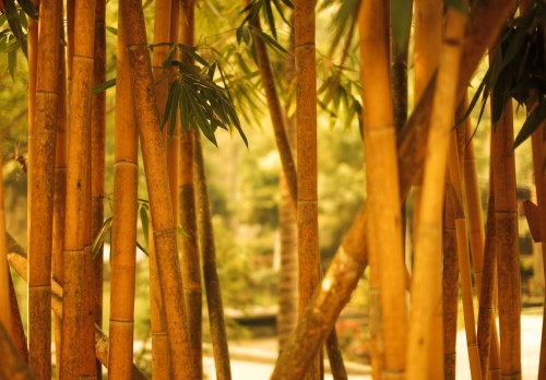 Варианты поклейки бамбуковыми обоями