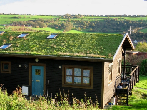hoggs-green-roof-500x375