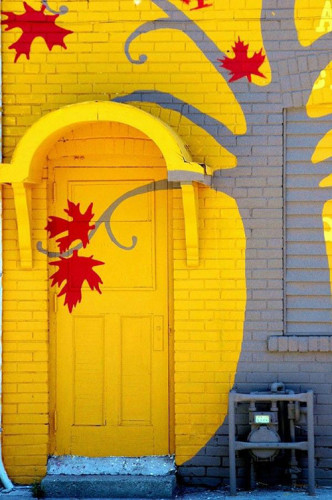 beautiful-house-doors-in-country-style-diy-door-colors-3-857