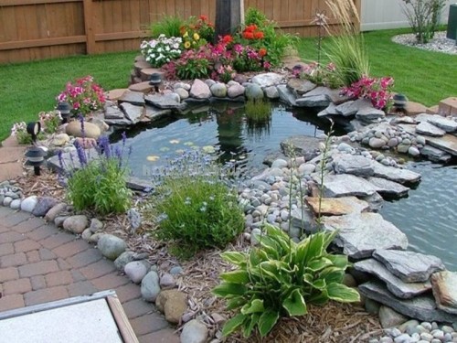 fish pool design, fish pond, fish pool, garden